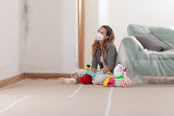 Reliable Mold Inspection And Testing contractor in Garden City, MI by Car Mold Remediation